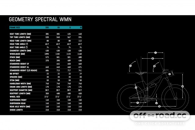 Canyon spectral size online guide